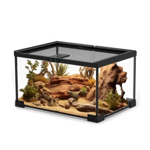 Rainforest Ecological Terrarium Glass Tank for Lizard, Turtle(Mini)