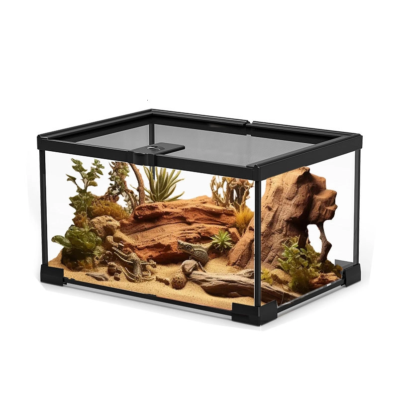 Rainforest Ecological Terrarium Glass Tank for Lizard, Turtle(Mini)