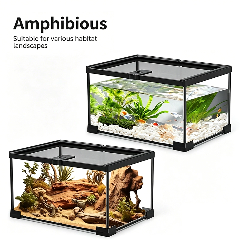 Rainforest Ecological Terrarium Glass Tank for Lizard, Turtle(Mini) - 图片 3