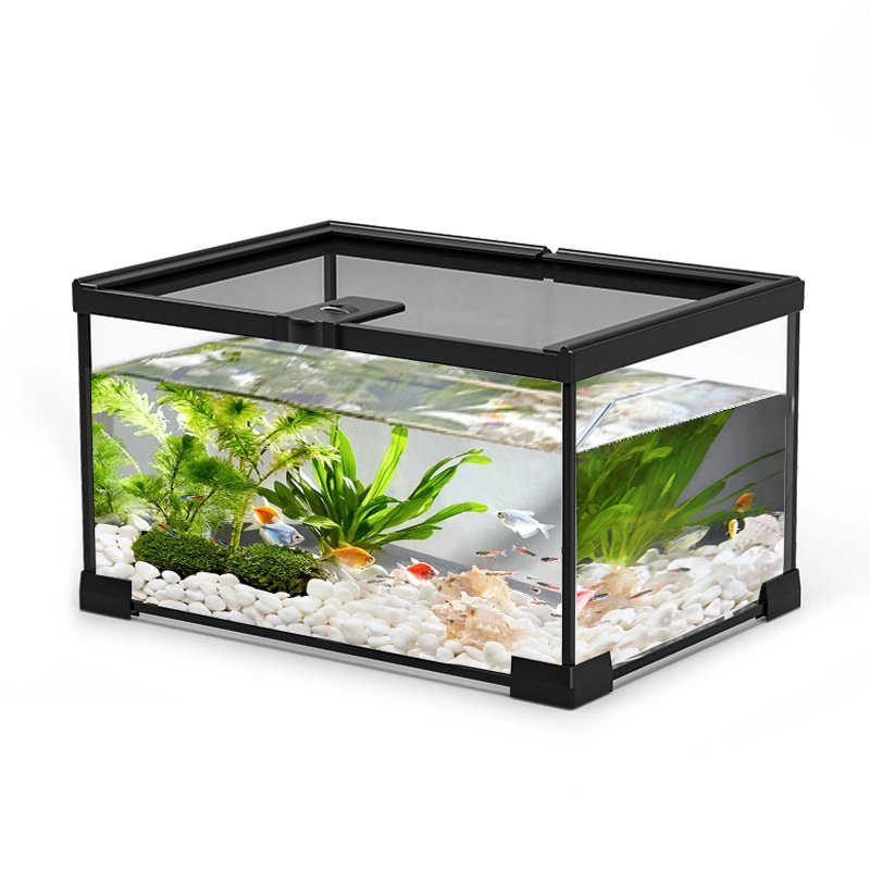 Rainforest Ecological Terrarium Glass Tank for Lizard, Turtle(Mini) - 图片 4