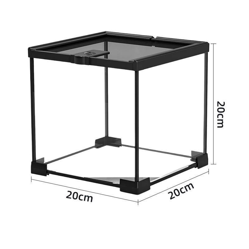 Rainforest Ecological Terrarium Glass Tank for Lizard, Turtle(Mini) - 图片 5