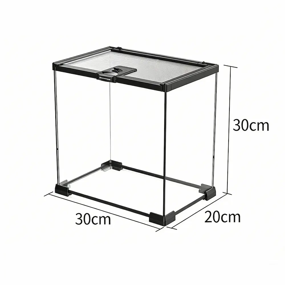 Clear Acrylic Reptile Enclosure for Gecko Spider Scorpion(Medium) - 图片 7