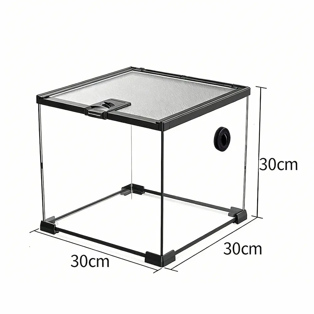 Clear Acrylic Reptile Enclosure for Gecko Spider Scorpion(Medium) - 图片 9