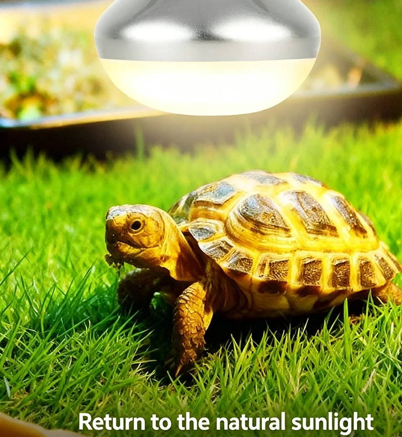 160W Reptile Basking Sun Lamp Boost Calcium Absorption for Reptile Habitat - 图片 2